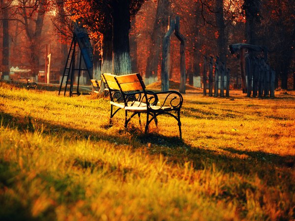 листья, осень, парк, скамейка