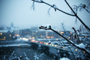 Обои на рабочий стол: ветка, город, размытое, река, снег