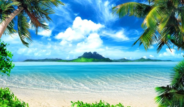 Обои на рабочий стол: остров, пальмы, пляж