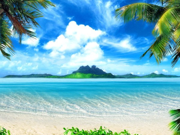 остров, пальмы, пляж