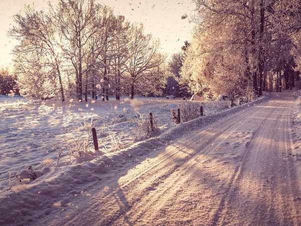 дорога, зима, лес, поле, снег, солнце