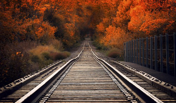Обои на рабочий стол: железная дорога, лес, мост, осень, рельсы, шпалы