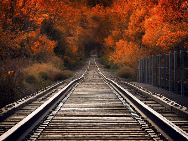 железная дорога, лес, мост, осень, рельсы, шпалы