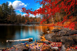 Обои на рабочий стол: берег, деревья, камни, лес, листья, мост, небо, облака, озеро, осень