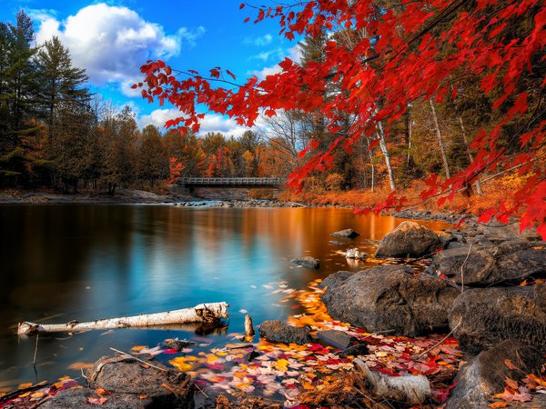 берег, деревья, камни, лес, листья, мост, небо, облака, озеро, осень