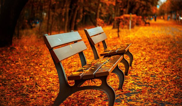 Обои на рабочий стол: аллея, лавочка, листья, осень, парк, скамейка
