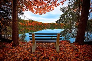Обои на рабочий стол: листья, озеро, осень, скамейка
