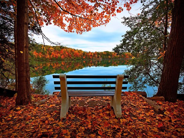 листья, озеро, осень, скамейка