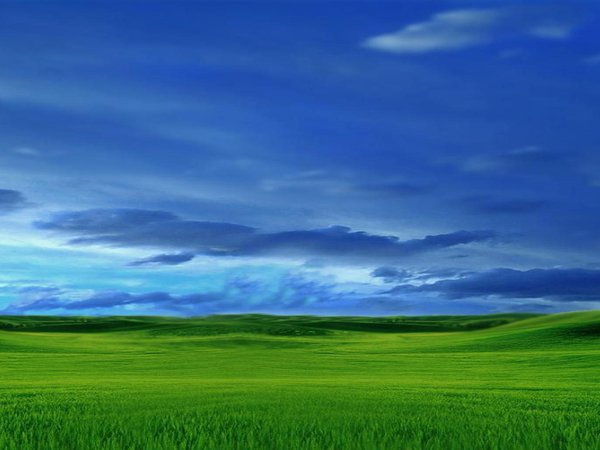 луг, небо, облака, трава