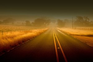 Обои на рабочий стол: дорога, оранжевый, туман