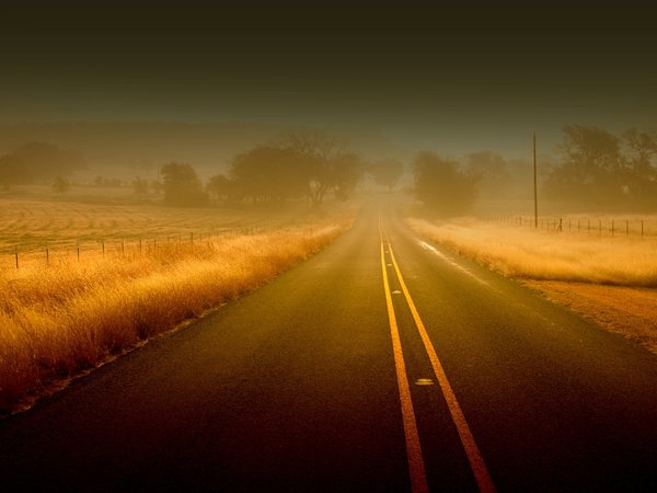 дорога, оранжевый, туман