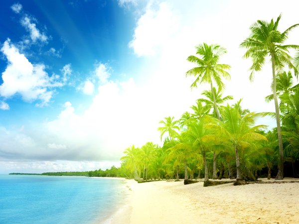 море, небо, пальмы, песок, пляж