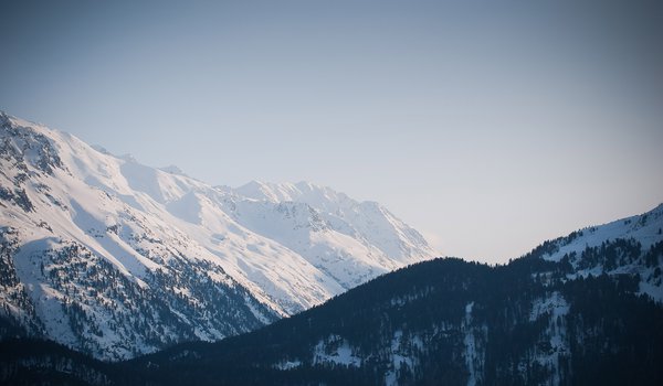 Обои на рабочий стол: вершина, горы, лес, снег