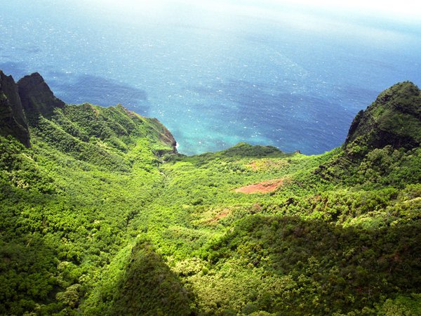 горы, лес, море