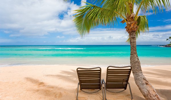 Обои на рабочий стол: море, небо, пальмы, пляж, шезлонг