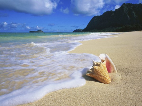 вода, море, остров, песок, пляж, раковина