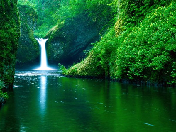водопад, лес, река