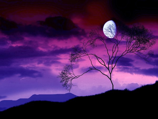 дерево, луна, небо