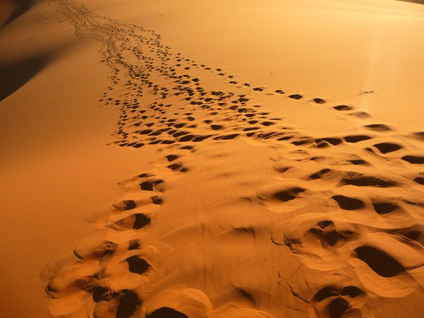 песок, пустыня, следы