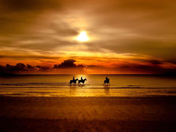 закат, лошадь, море, наездник