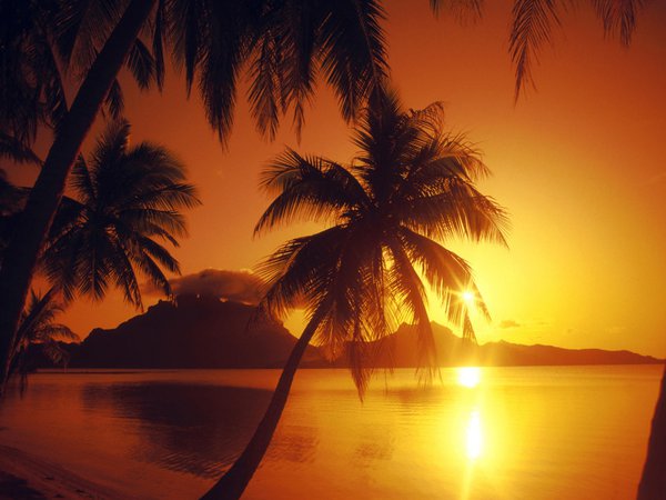 закат, море, пальмы