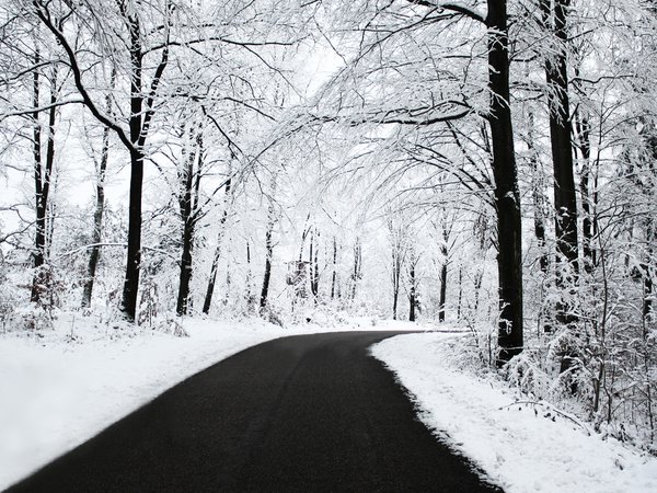 дорога, зима, лес