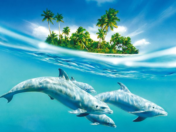 дельфин, остров