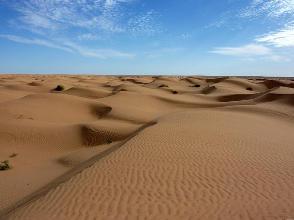 горизонт, небо, песок, пустыня