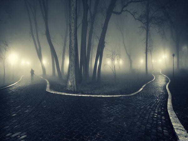 дорожка, парк, туман, человек