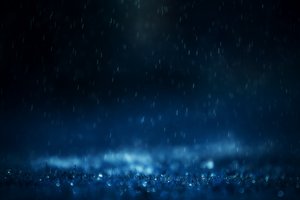 Обои на рабочий стол: дождь, макро
