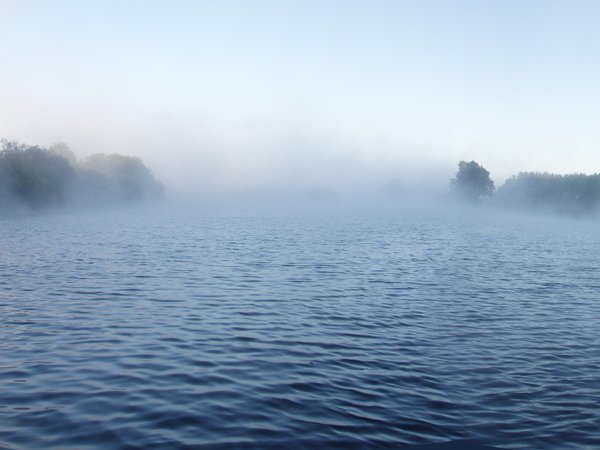 лес, небо, река, туман, утро