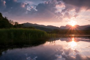 Обои на рабочий стол: закат, камыш, лес, озеро