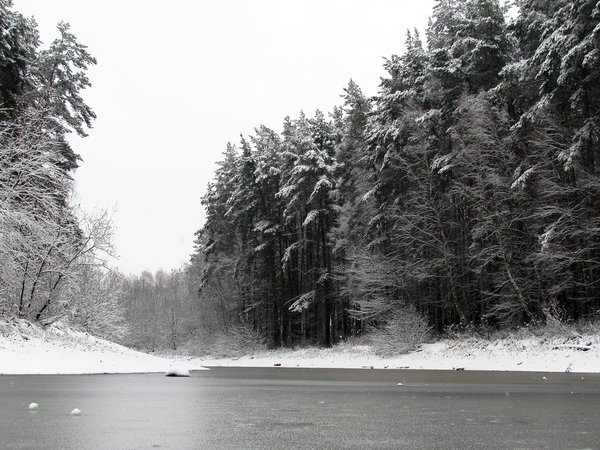 деревья, дорога, зима, снег, чёрно-белое