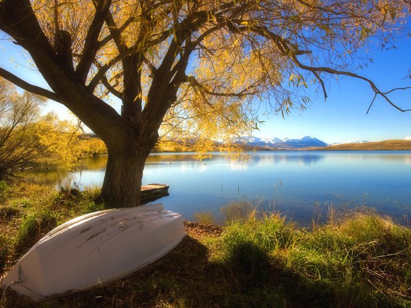 дерево, лодка, озеро, осень