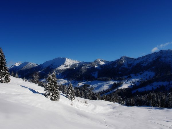 горы, лес, снег