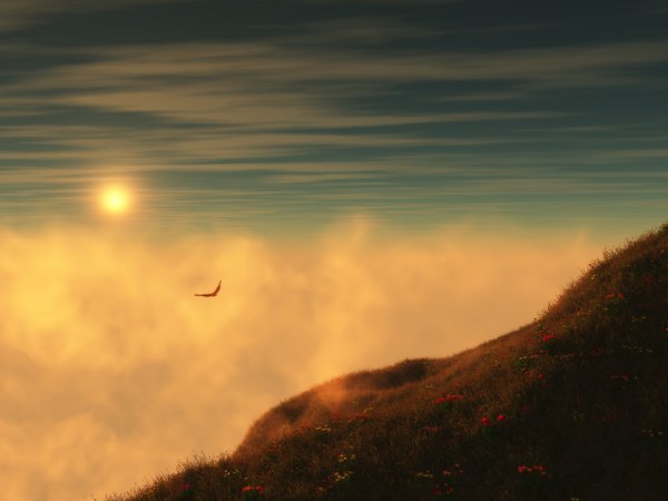 птица, солнце, туман, холм