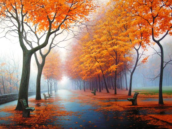 деревья, дорога, листва, осень
