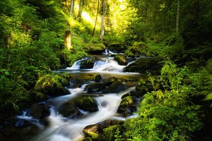 Обои на рабочий стол: водопад, красиво, лес