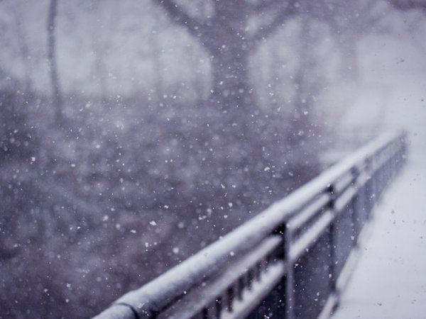 зима, мост, ограда, снег