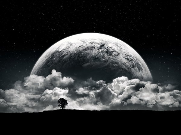 дерево, небо, ночь, планета, тучи