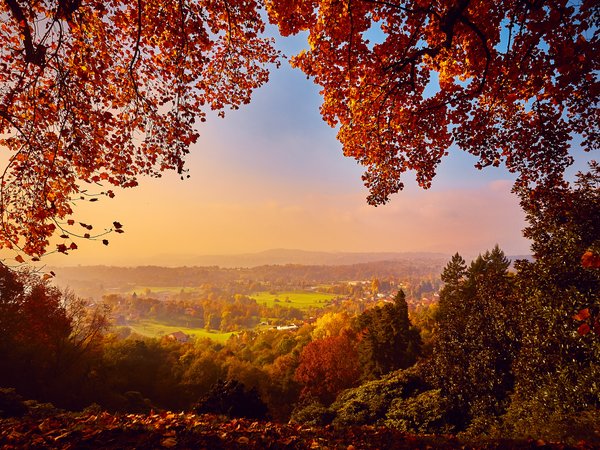 autumn, colorful, fall, forest, landscape, leaves, park, tree, деревья, лес, листья, осень, парк