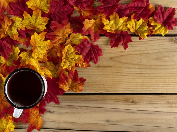 autumn, colorful, leaves, maple, tea cup, wood, доски, клён, листья, осень, фон, чашка чая