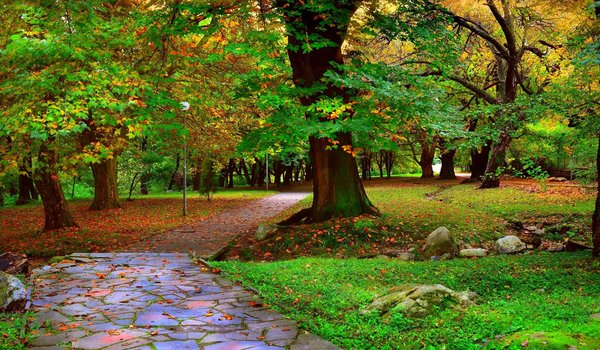 Обои на рабочий стол: autumn, fall, leaves, nature, park, path, trees, аллея, деревья, дорожка, листопад, осень, парк