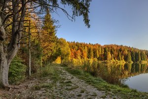 Обои на рабочий стол: лес, озеро, осень