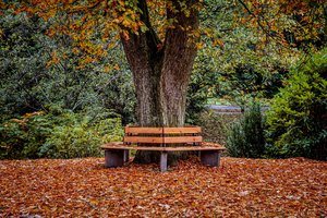 Обои на рабочий стол: листва, осень, парк, скамья