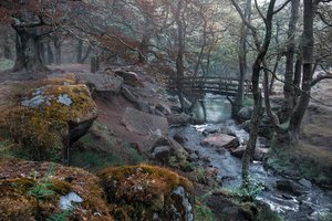 Обои на рабочий стол: Derbyshire Dales District, england, Grindleford, мост, парк, природа, речка