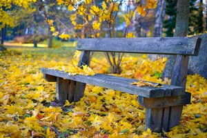 Обои на рабочий стол: боке, листва, осень, парк, скамья, скоро