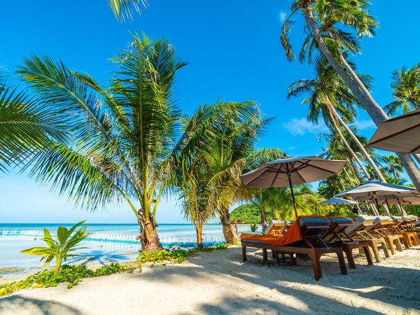 beach, beautiful, palms, paradise, sand, sea, seascape, summer, tropical, берег, лето, море, небо, пальмы, песок, пляж, солнце