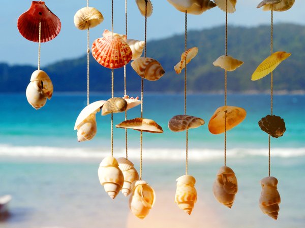 beach, marine, sand, sea, seashells, summer, берег, волны, лето, море, песок, пляж, ракушки