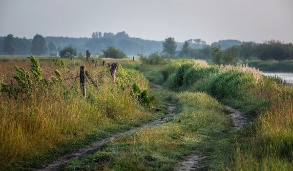 Обои на рабочий стол: дорога, лето, поле